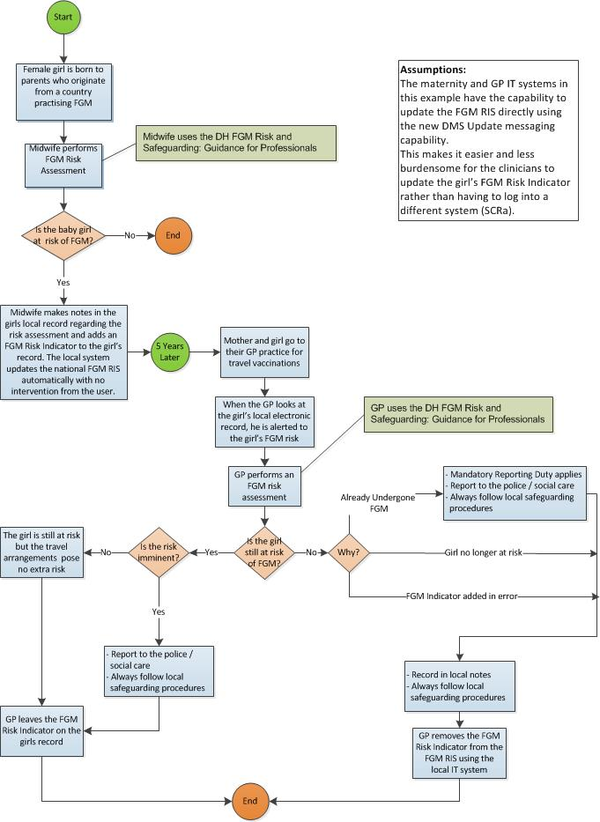 Activity Flow Diagram of using FGM RIS in the NHS